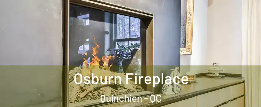  Osburn Fireplace Quinchien - QC